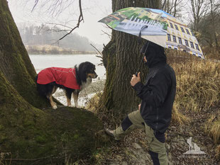 Wandern mit Hund, mein Wanderhund Ari, Andrea Obele, Ruffwear Aira Regenjacke; Test