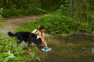 Wandern mit Hund, mein Wanderhund Ari, Andrea Obele, Kühlweste für Hunde