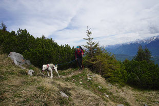 Doktrekking; Wandern mit Hund; Maria Müller; mein-wanderhund.de