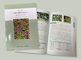 雲ケ畑 山野の植物を訪ねるガイドブック