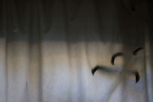 Gardienen Licht III