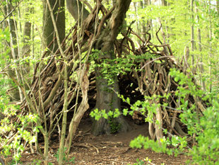 Um einem Baum herum wurde aus Ästen ein Tipi gebaut.