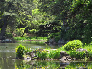 群鴨池の島