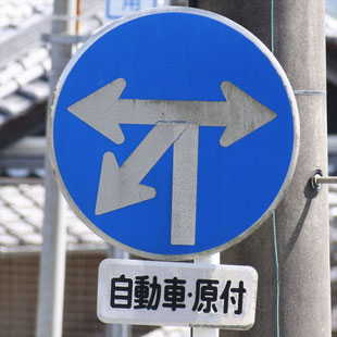 異形矢印標識(指定方向外進行禁止)。愛知県豊田市平芝町４丁目交差点にある。