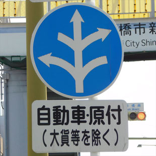 異形矢印標識(指定方向外進行禁止)。愛知県豊橋市大手橋南交差点にある。
