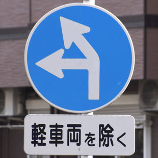 異形矢印標識(指定方向外進行禁止)。福岡県福岡市博多区桜並木駅東にある。