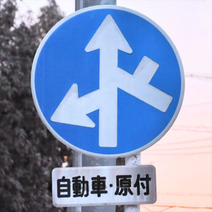 異形矢印標識(指定方向外進行禁止)。愛知県名古屋市千種区平和公園北交差点にある。