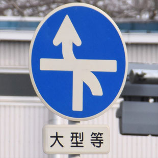異形矢印標識(指定方向外進行禁止)。愛知県名古屋市南区本地通３交差点にある。