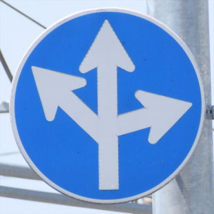 異形矢印標識(指定方向外進行禁止)。福岡県福岡市博多区稲城交差点にある。