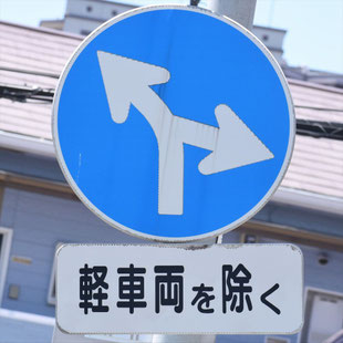 異形矢印標識(指定方向外進行禁止)。福岡県福岡市博多区桜並木駅北にある。