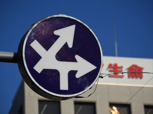異形矢印標識(指定方向外進行禁止)。群馬県前橋市にある。