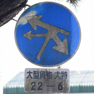 異形矢印標識(指定方向外進行禁止)。愛知県知立市御林交差点にある。