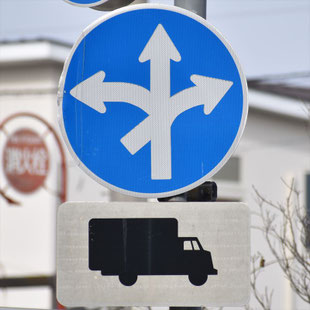 異形矢印標識(指定方向外進行禁止)。愛知県名古屋市瑞穂区汐路町２交差点にある。