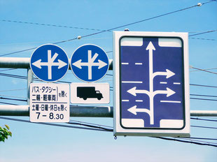異形矢印標識(指定方向外進行禁止)。静岡県静岡市にある。