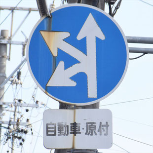 異形矢印標識(指定方向外進行禁止)。愛知県名古屋市南区戸部公園西にある。