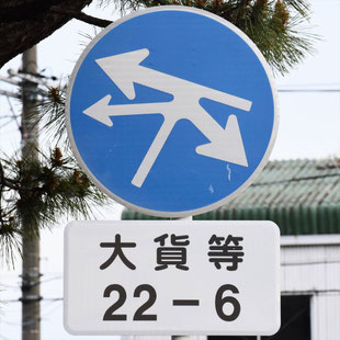 異形矢印標識(指定方向外進行禁止)。愛知県知立市御林交差点にある。