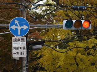 異形矢印標識(指定方向外進行禁止)。石川県金沢市にある。