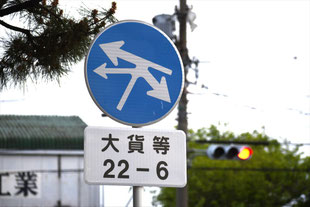 異形矢印標識(指定方向外進行禁止)。愛知県知立市御林交差点にある。