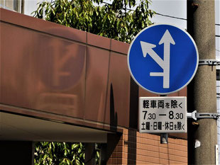 異形矢印標識(指定方向外進行禁止)。鳥取県米子市にある。