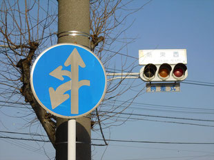 異形矢印標識(指定方向外進行禁止)。愛知県豊橋市にある。