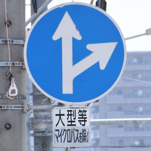 異形矢印標識(指定方向外進行禁止)。愛知県名古屋市南区内田橋交差点にある。