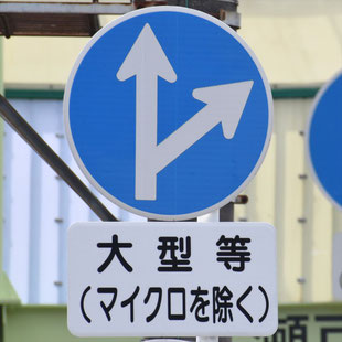 異形矢印標識(指定方向外進行禁止)。愛知県瀬戸市水無瀬交差点にある。