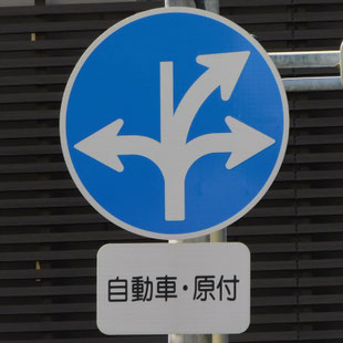 異形矢印標識(指定方向外進行禁止)。愛知県名古屋市中村区笈瀬通交差点北にある。