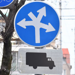 異形矢印標識(指定方向外進行禁止)。愛知県名古屋市瑞穂区汐路町２交差点にある。
