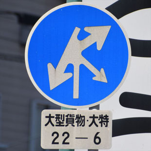 異形矢印標識(指定方向外進行禁止)。愛知県知立市御林交差点にある。