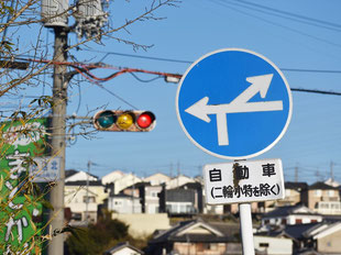 異形矢印標識(指定方向外進行禁止)。奈良県奈良市にある。