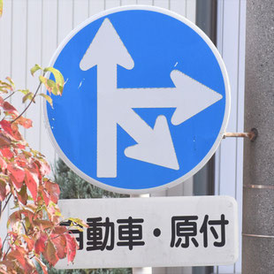 異形矢印標識(指定方向外進行禁止)。愛知県稲沢市国府宮参道南にある。