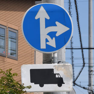 異形矢印標識(指定方向外進行禁止)。愛知県名古屋市守山区雨池交差点にある。
