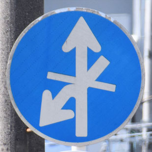 異形矢印標識(指定方向外進行禁止)。愛知県名古屋市中川区四女子町交差点にある。