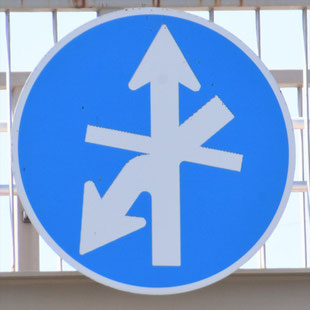 異形矢印標識(指定方向外進行禁止)。愛知県名古屋市中川区四女子町交差点にある。