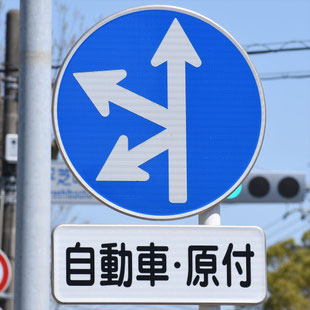 異形矢印標識(指定方向外進行禁止)。愛知県豊田市平芝町４丁目交差点にある。