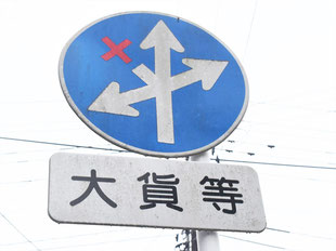 異形矢印標識(指定方向外進行禁止)。宮城県大崎市にある。