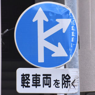 異形矢印標識(指定方向外進行禁止)。福岡県福岡市博多区桜並木駅東（県道）にある。