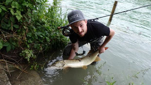 Andreas Scheibenpflug