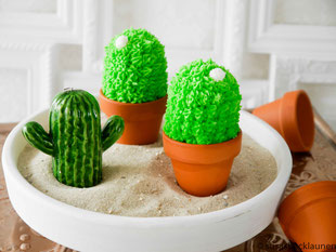 süßer Kaktus