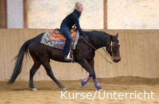 Reinhard Hochreiter hält Reining-Kurse und bietet Unterricht für Reining-Reiter.