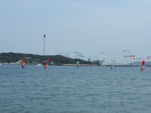 ウインドサーフィン　海の公園　横浜　神奈川県　スピードウォール　初心者