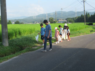 環境美化運動