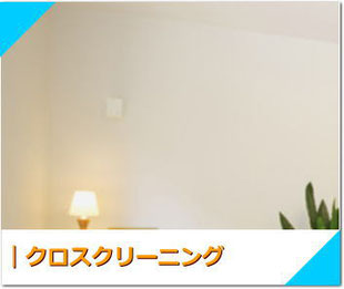 クロスクリーニング