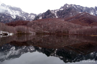 冬（雪景色）