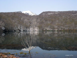 蔦沼（青森県）