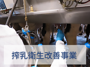 搾乳衛生改善事業