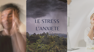 Thérapie EMDR Psychotraumatisme Enfant Adulte Millau Saint Affrique Aveyron stress anxiété phobie