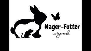 Meerschweinchen