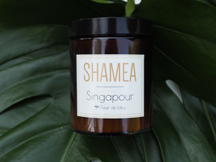 Méditer avec la bougie Singapour senteur fleur de lotus. 