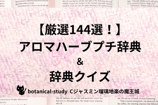アロマハーブ資格取得勉強サポートサイト『Cジャスミン瑠璃地楽の魔王城』に掲載されている辞典型のクイックリビールクイズ、全281種の中から厳選をした144種のアロマ精油・ハーブ・スパイス・アロマハーブ基材をまとめたページゲートへの画像